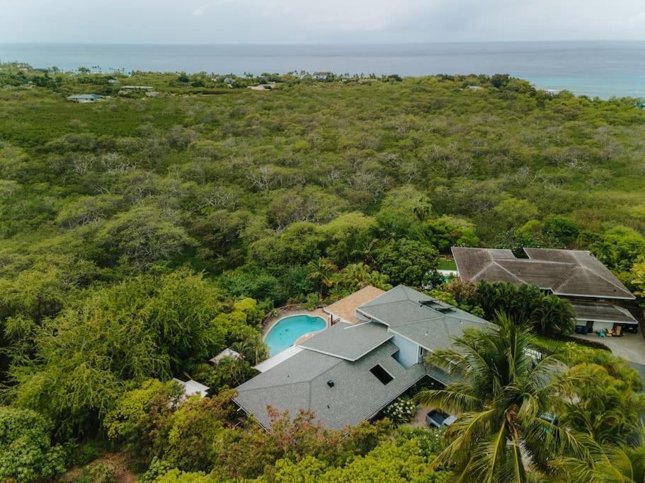 The Pohaku Studio At The Koi House ไคลัวโคนา ภายนอก รูปภาพ